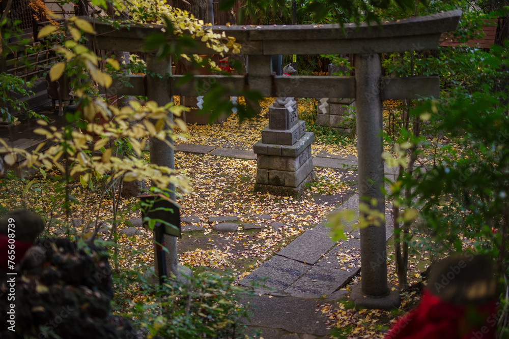 東京赤坂にある氷川神社の美しい秋の境内