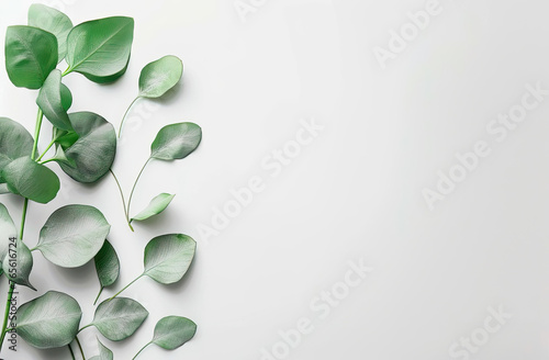  A green twig with leaves lying on a white canvas, a white sheet of paper, a gradient, a watman with a branch of greenery, a mockup for a photo 1