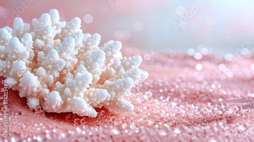  A close-up photo of white coral resting on a pink background, featuring water droplets on the base of the coral