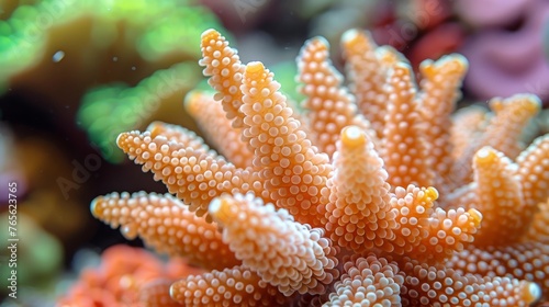  A macro shot of a coral with numerous tiny white spots adorning its surface, surrounded by other corals in the backdrop