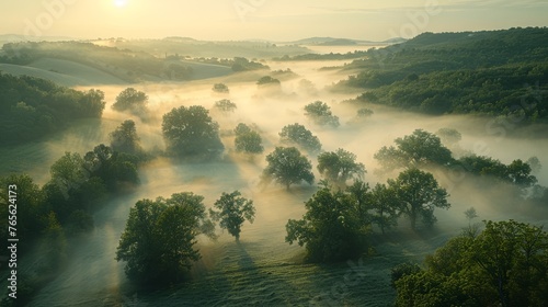  An image showing a misty valley from above, with trees framing the foreground and a sun shining in the background