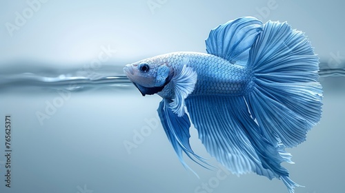  A photo of a blue fish swimming in water with a wave behind it © Jevjenijs