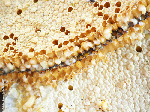 Honey beehive. Closeup photo, blurred.