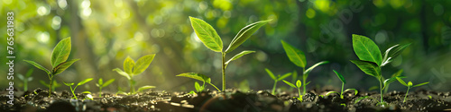 Green Financial Future: Investing in Growth and Sustainability for Long-Term Success
