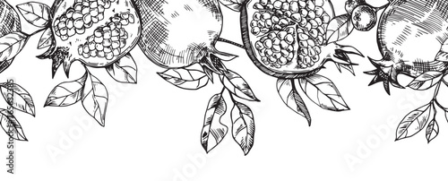 seamless border of fruits and pomegranate leaves, vector pattern in sketch style.