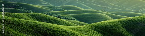 Rolling Hills Harmony: Finding Peace and Beauty in the Gentle Slopes and Verdant Valleys