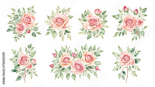 Set of Watercolor pink roses, Rose flower Decoration for Mother's day card, weddings, wedding design, wedding invitation.