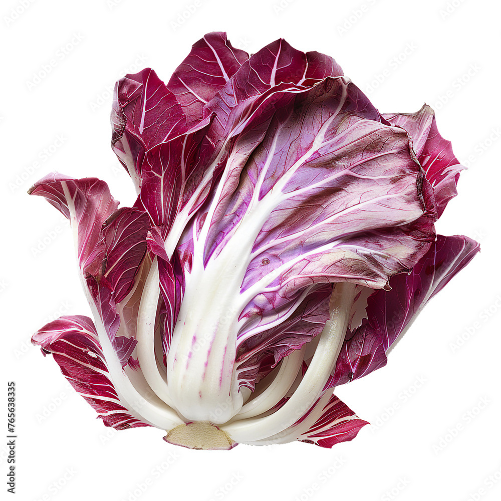 Obraz premium Radicchio, transparent background, isolated image, generative AI