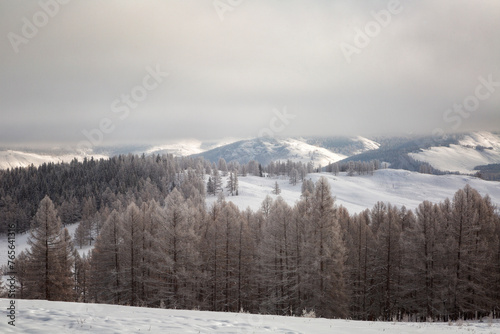 Beautiful winter sunrise landscape with mountains. Altai. Russia