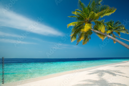 Tropical beach and palm trees  The Maldives  Indian Ocean  Asia