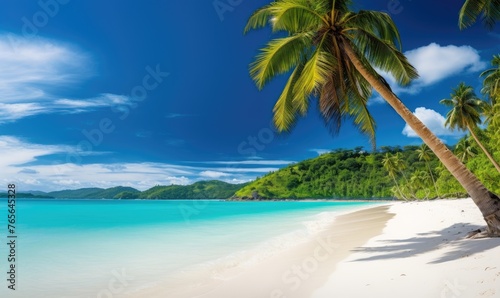 Beautiful white beach and amazing sea  lush green palm trees  pristine white sands. Perfect vacation concept.