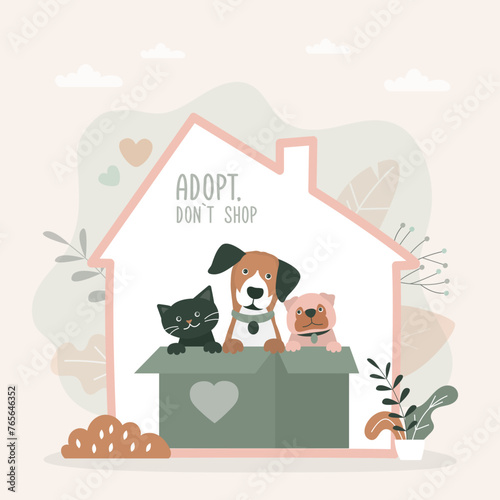 Adopt friend, don't shop - cute dogs and cat sitting in box at new home. Banner about pet adoptation. Animal care, adoption. Help homeless animals find home concept.