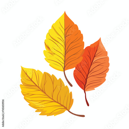 Fresh autumn leaves in yellow and orange color icon