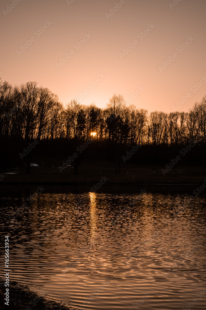 Sun setting over a leafless tree-lined pond Sun setting over a leafless tree-lined pond