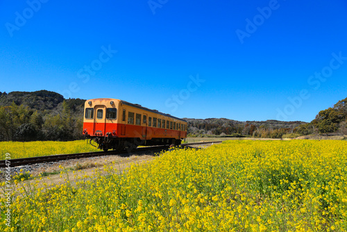 【千葉県】小湊鉄道と菜の花の春の風景