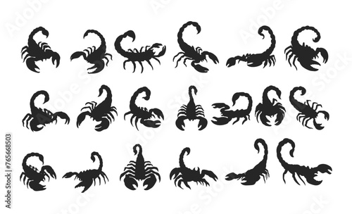 Vector scorpion silhouette on white background