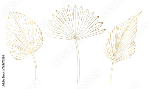 Gold tropical Palm Leaves. Vector illustration with exotic plants on isolated background in linear style. Outline drawing of branches. Line art for modern luxury design. Botanical sketch of foliage.