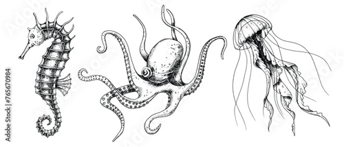 Vector set with Sea Animals. Hand drawn sketch of Seahorse, Jellyfish and Octopus. Illustration with underwater sealife painted by black inks in line art style. Engraving of medusa for icon or logo.