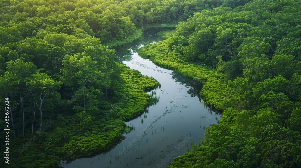 The environment: A serene forest scene with a winding river and lush green trees The environment: A serene forest scene with a winding river and lush green trees