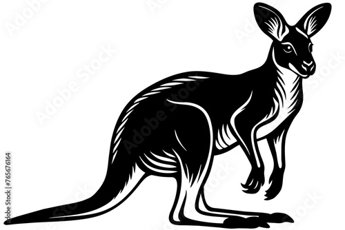 Kangaroo silhouette vector art illustration