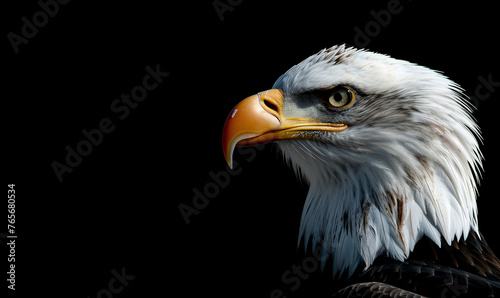 Close up of a Bald Eagle, side view
