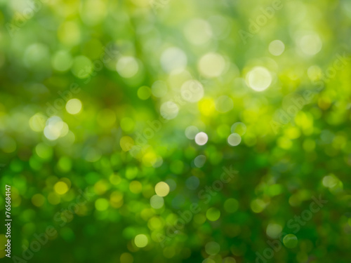 Green nature morning abstract bokeh backgroud, Ecology, garden, shiny sunlight natural blurred concept. Spring or summer outdoor texture