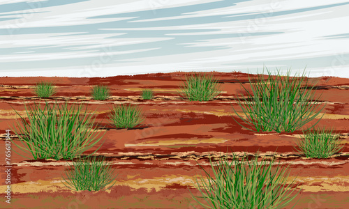 Red clay soil with green bushes. Wildlife of Australia. Realistic vector landscape photo