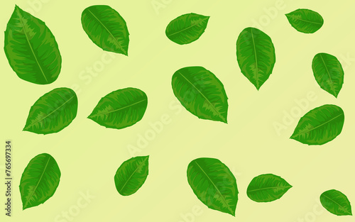 some fallen lime leaves on a yellow background