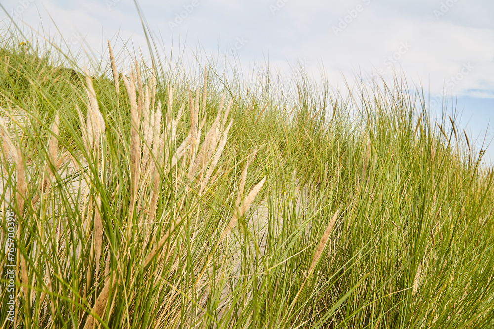 Obraz premium Insel Borkum, Niedersachsen, Deutschland, Niedersachsen
