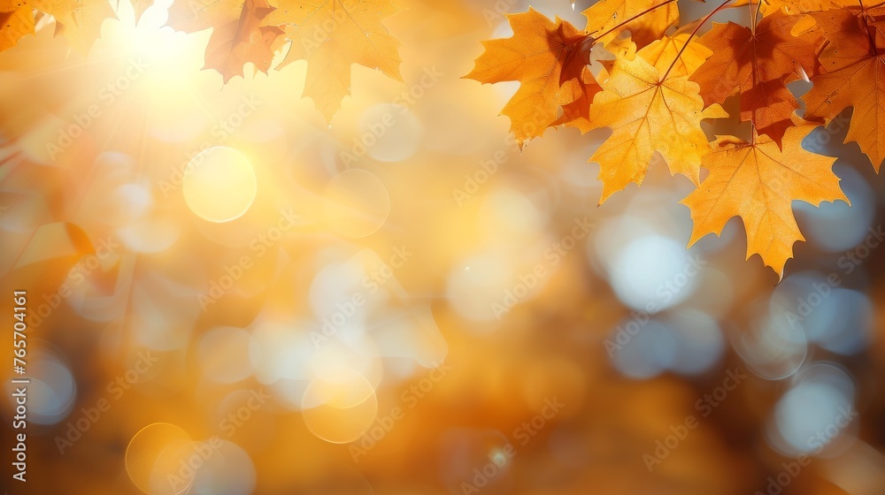 Fototapeta premium A close up of a tree with leaves that are orange and yellow