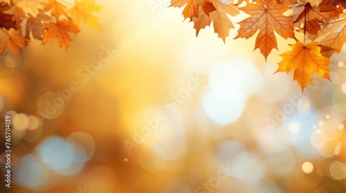 A close up of a tree with leaves that are orange and yellow
