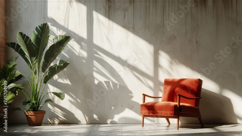 Chair and Potted Plant in Room
