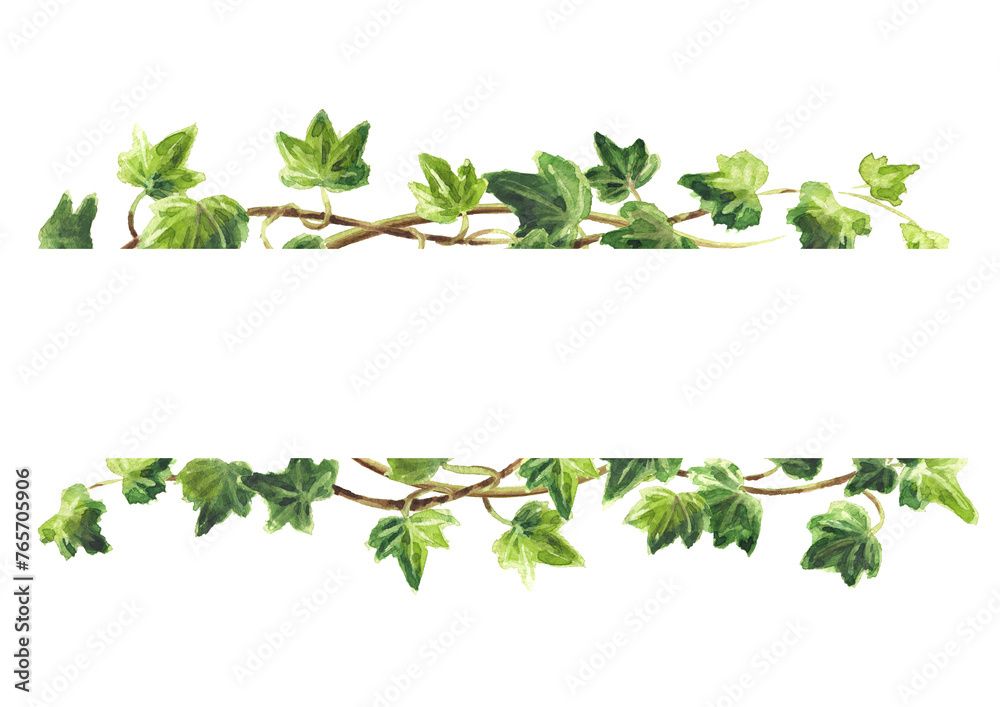 Ivy branch with green leaves  frame , Hand drawn watercolor illustration isolated on white background - obrazy, fototapety, plakaty 