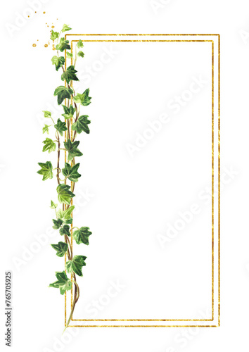 Ivy branch with green leaves frame , Hand drawn watercolor illustration isolated on white background © dariaustiugova