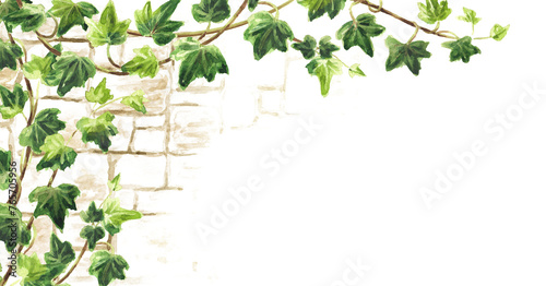 Ivy branch with green leaves on a brick wall background, save the date card with copy space.  Hand drawn watercolor illustration