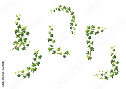 Ivy branch with green leaves frames set, Hand drawn watercolor illustration isolated on white background