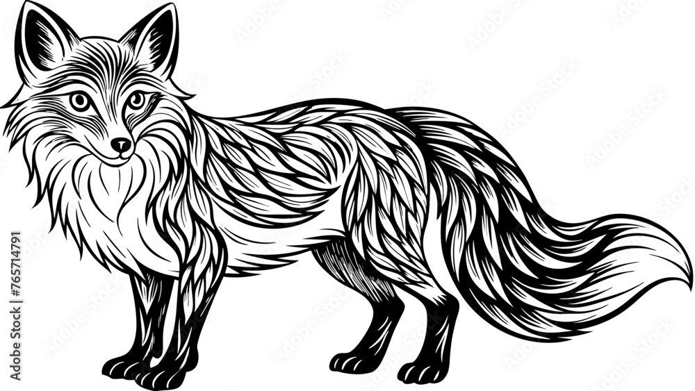 Obraz premium a fox vector illustration