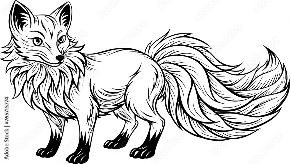 Obraz premium a fox vector illustration