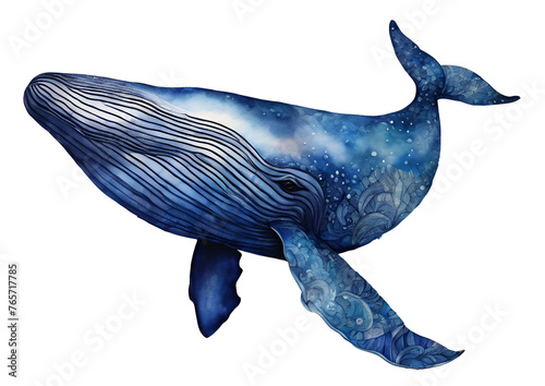 Watercolor and painting Blue whale