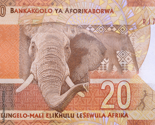 Elephant on Banknote of the South African rand
