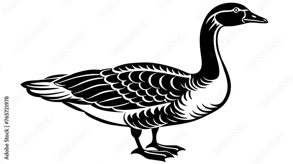 Birds and svg file Birds and svg file