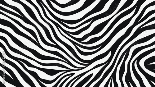 Black and white zebra skin. Black strip animal jungle texture zebra background.