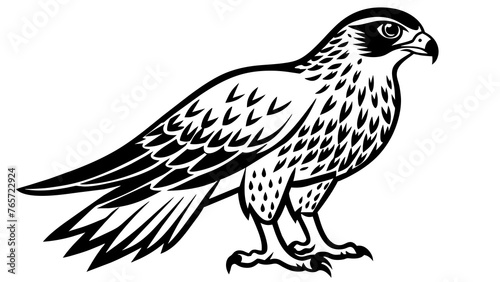 Birds and svg file
