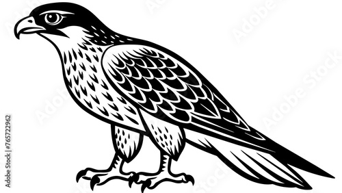 Birds and svg file