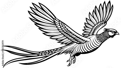 Birds and svg file