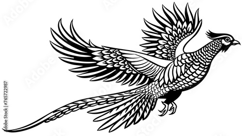 Birds and svg file