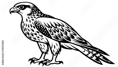 Birds and svg file
