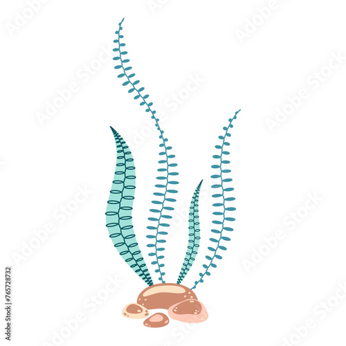 Seaweed. Hand drawn algae colorful seaweed. Underwater plants. Modern flat illustration. Vector illustration