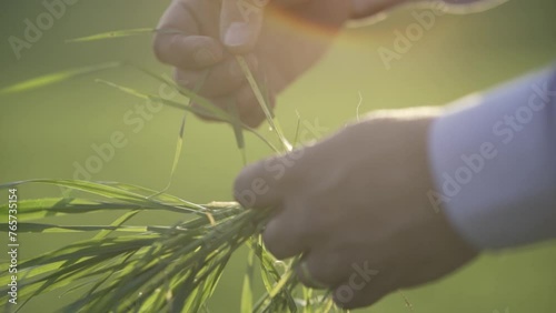 Farmers in the field
