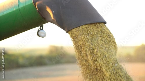 Unloading soybeans in the field